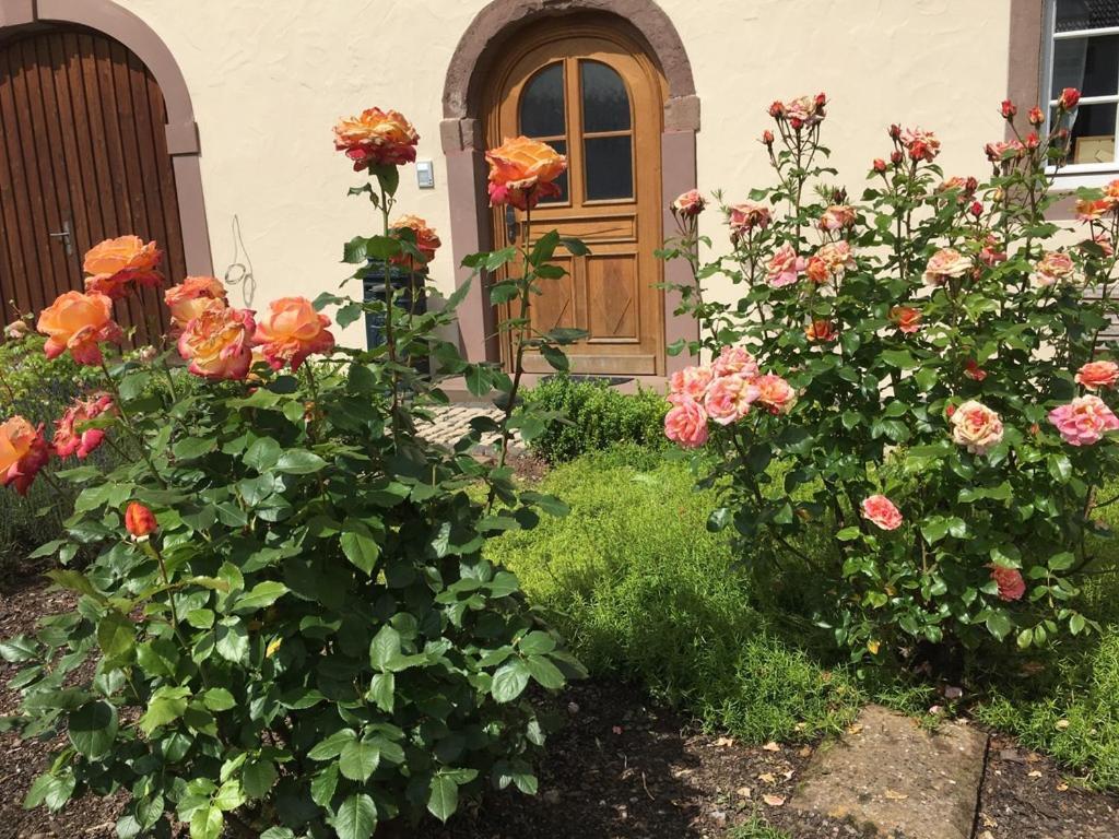 Ferienwohnung In Historischem Bauernhaus In Der Eifel Mettendorf Zewnętrze zdjęcie